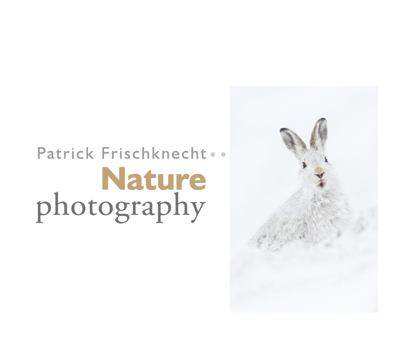 Nature Photography